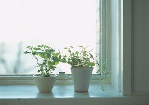 エクステリアデザインコンテスト地区優秀賞受賞の会社